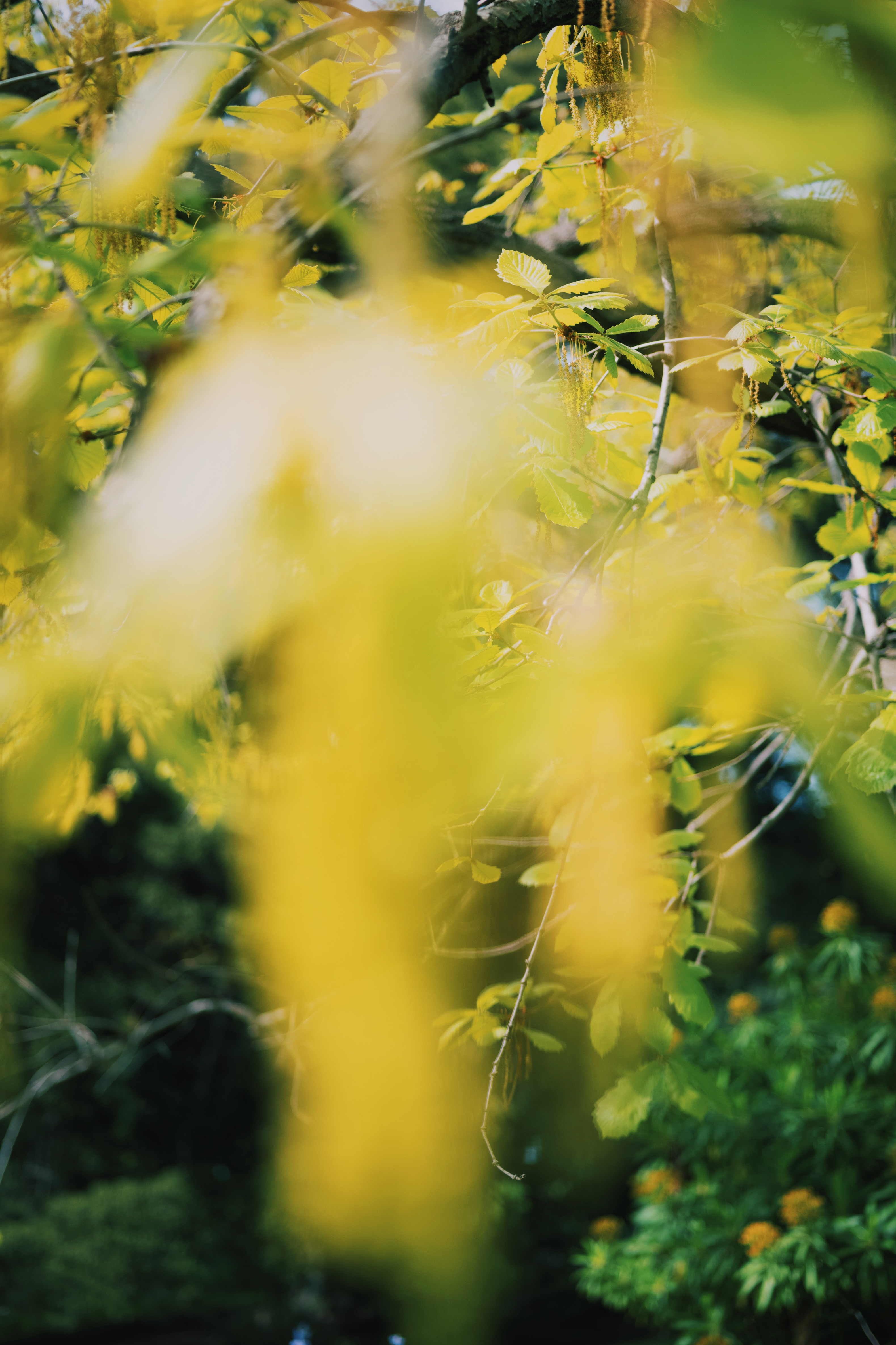 Melbourne Fragments 008
