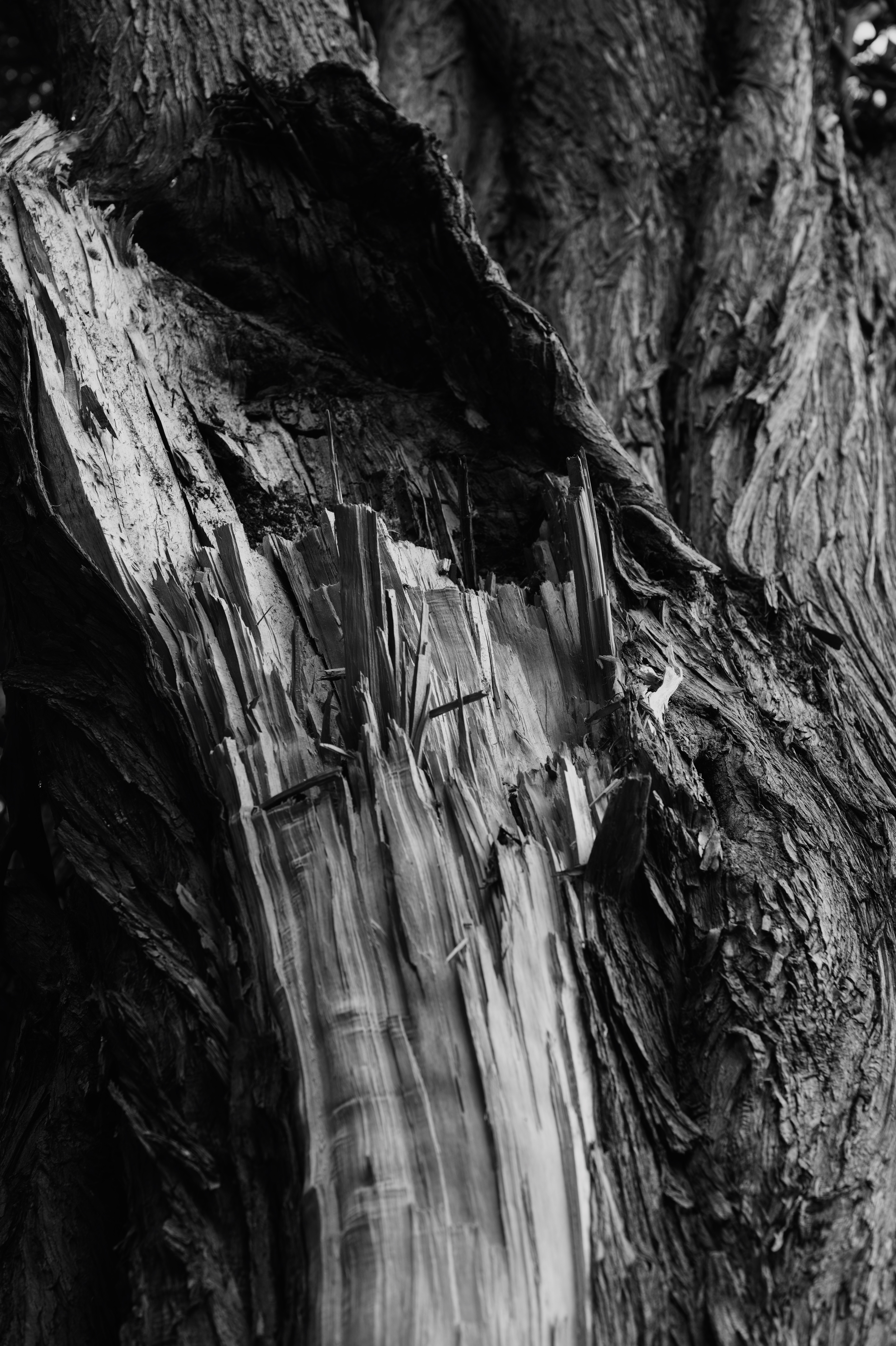 Melbourne Fragments 032