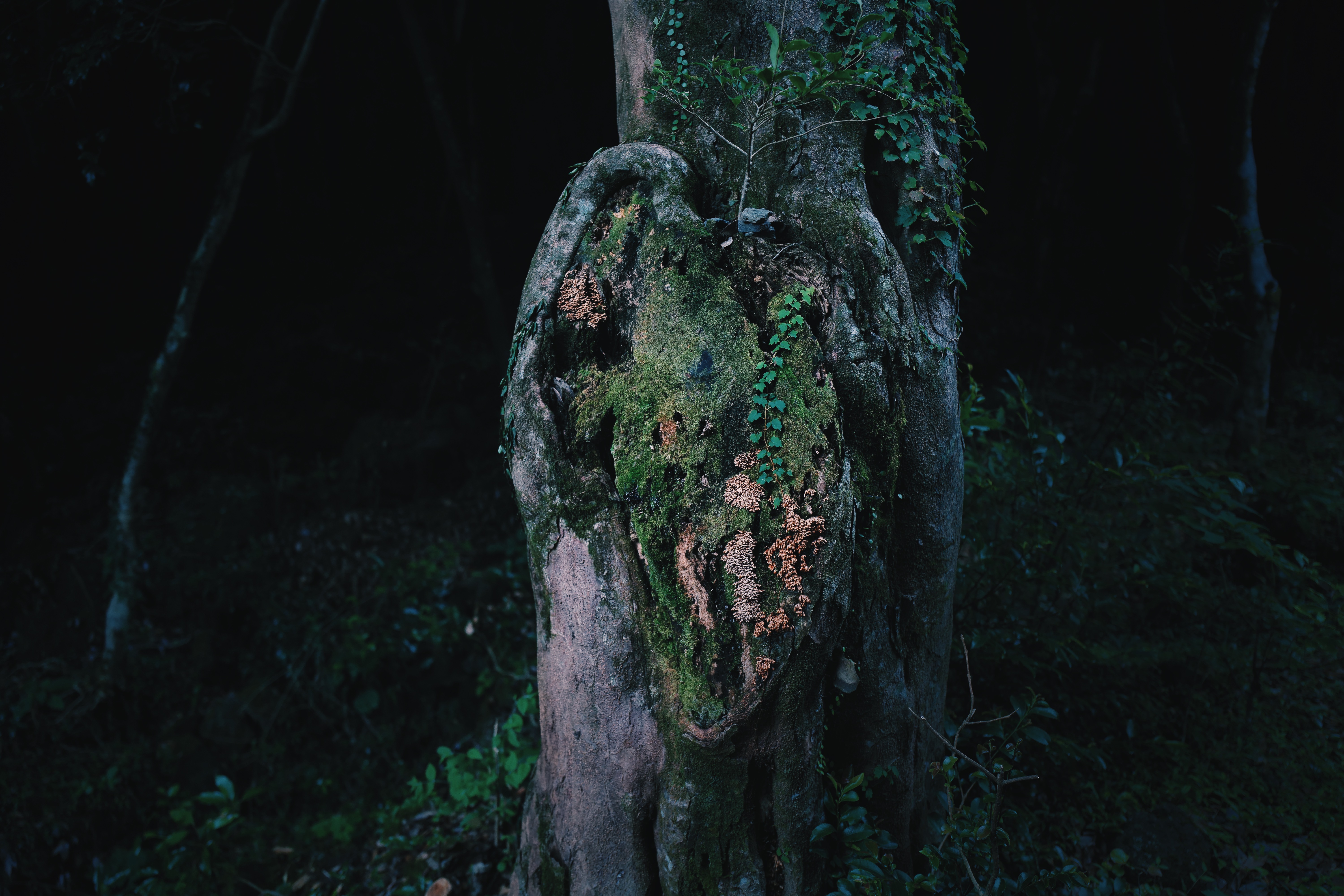 Breathing Dark 001