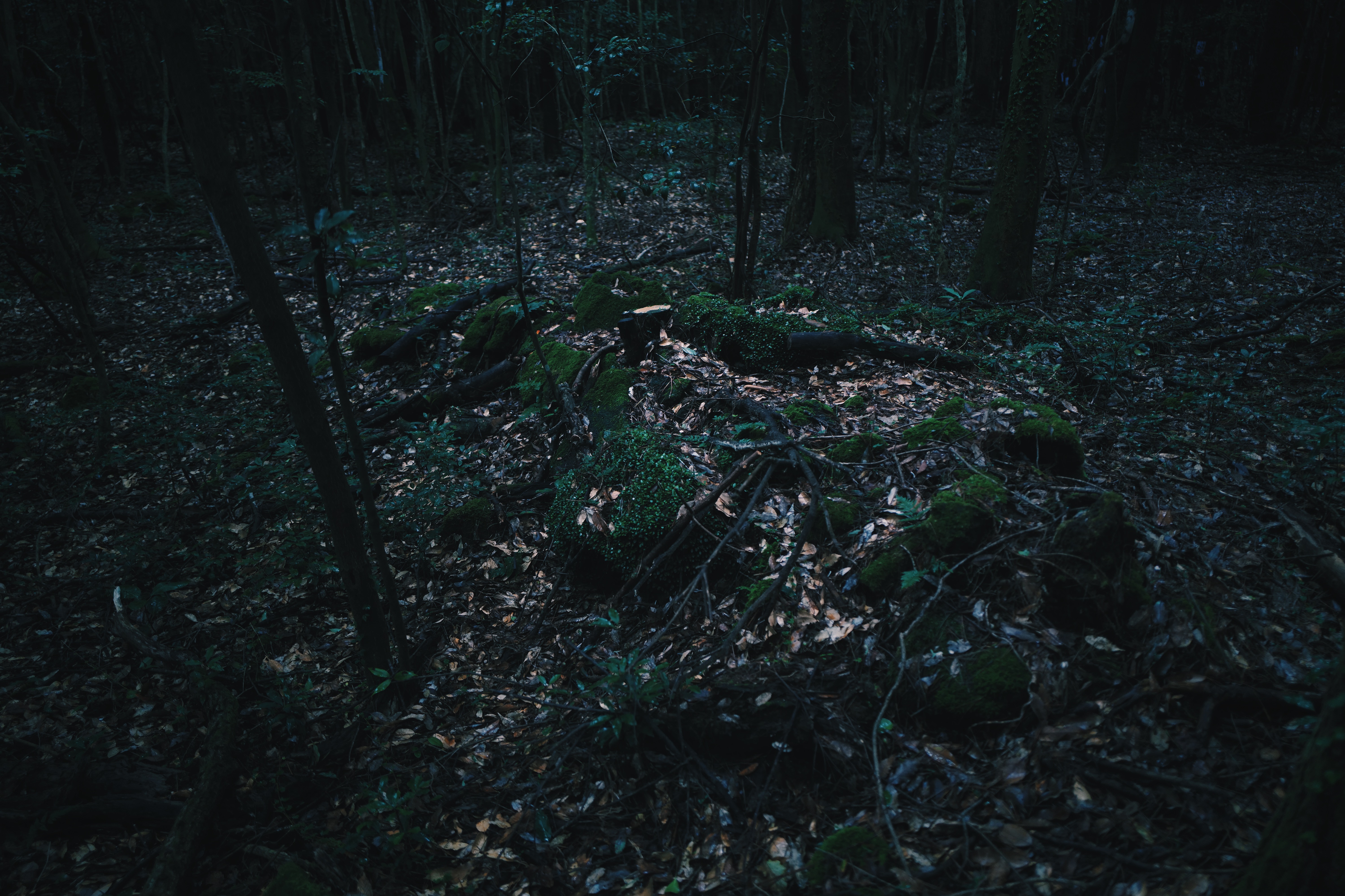 Breathing Dark 002