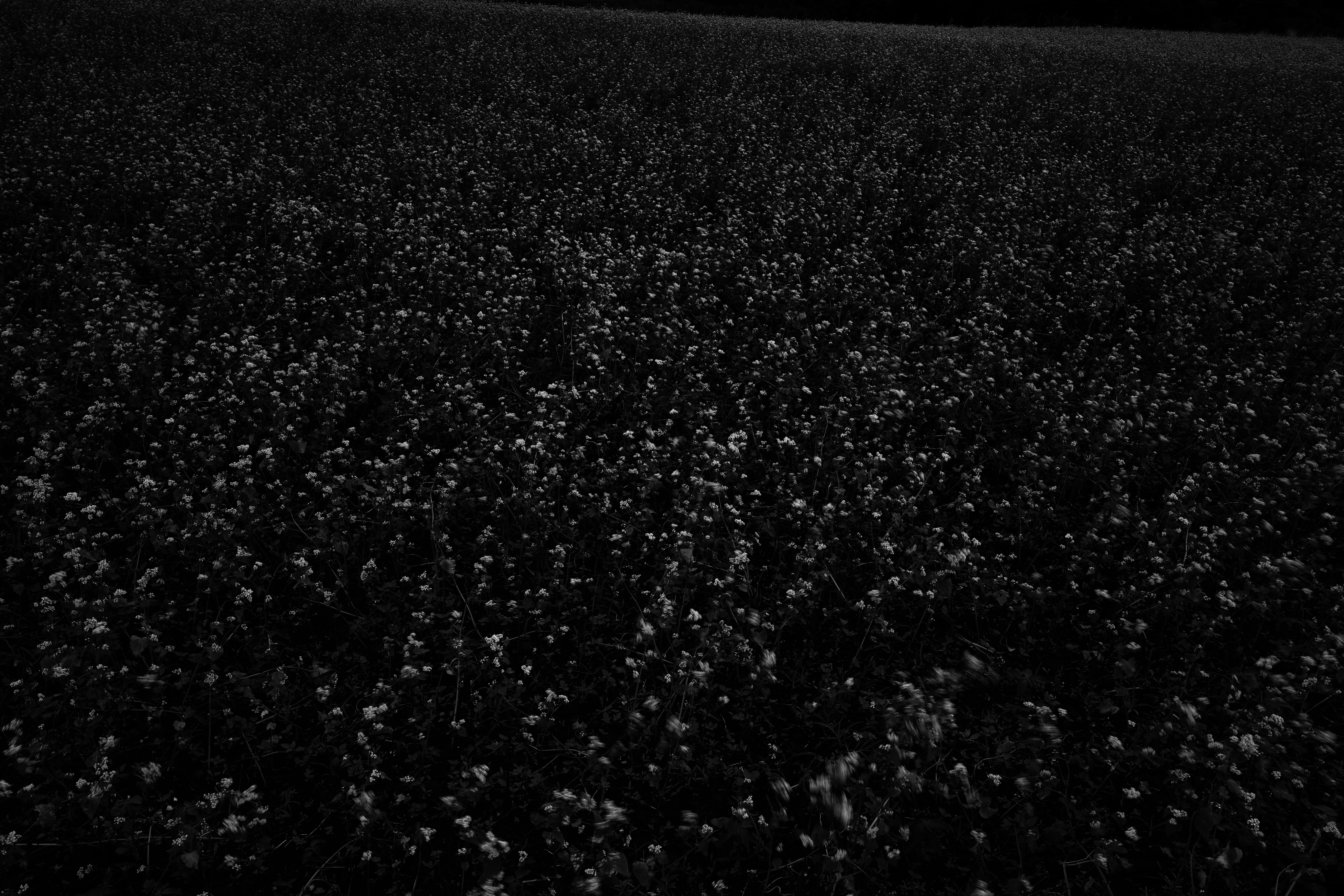 Breathing Dark 006