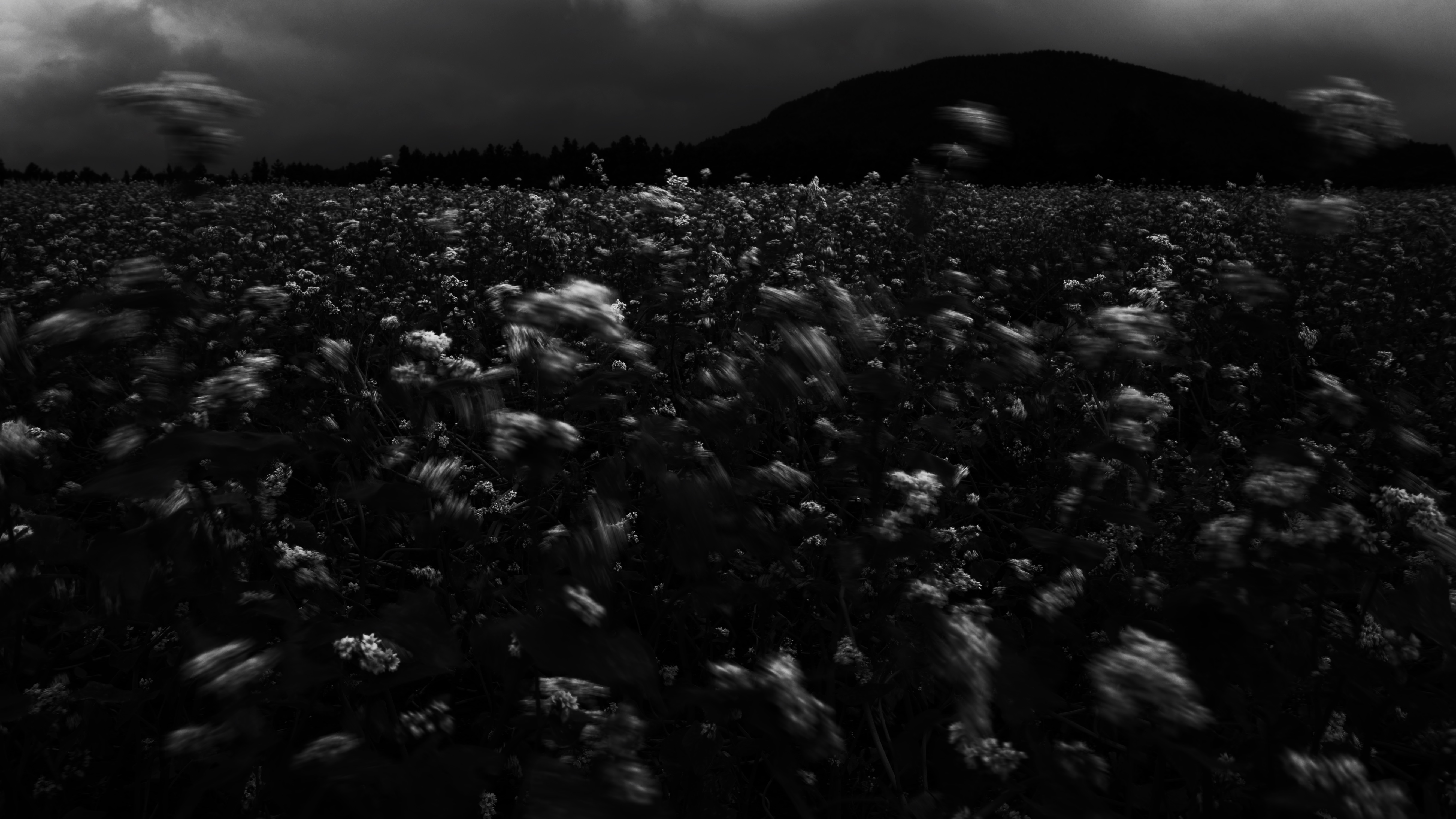 Breathing Dark 007