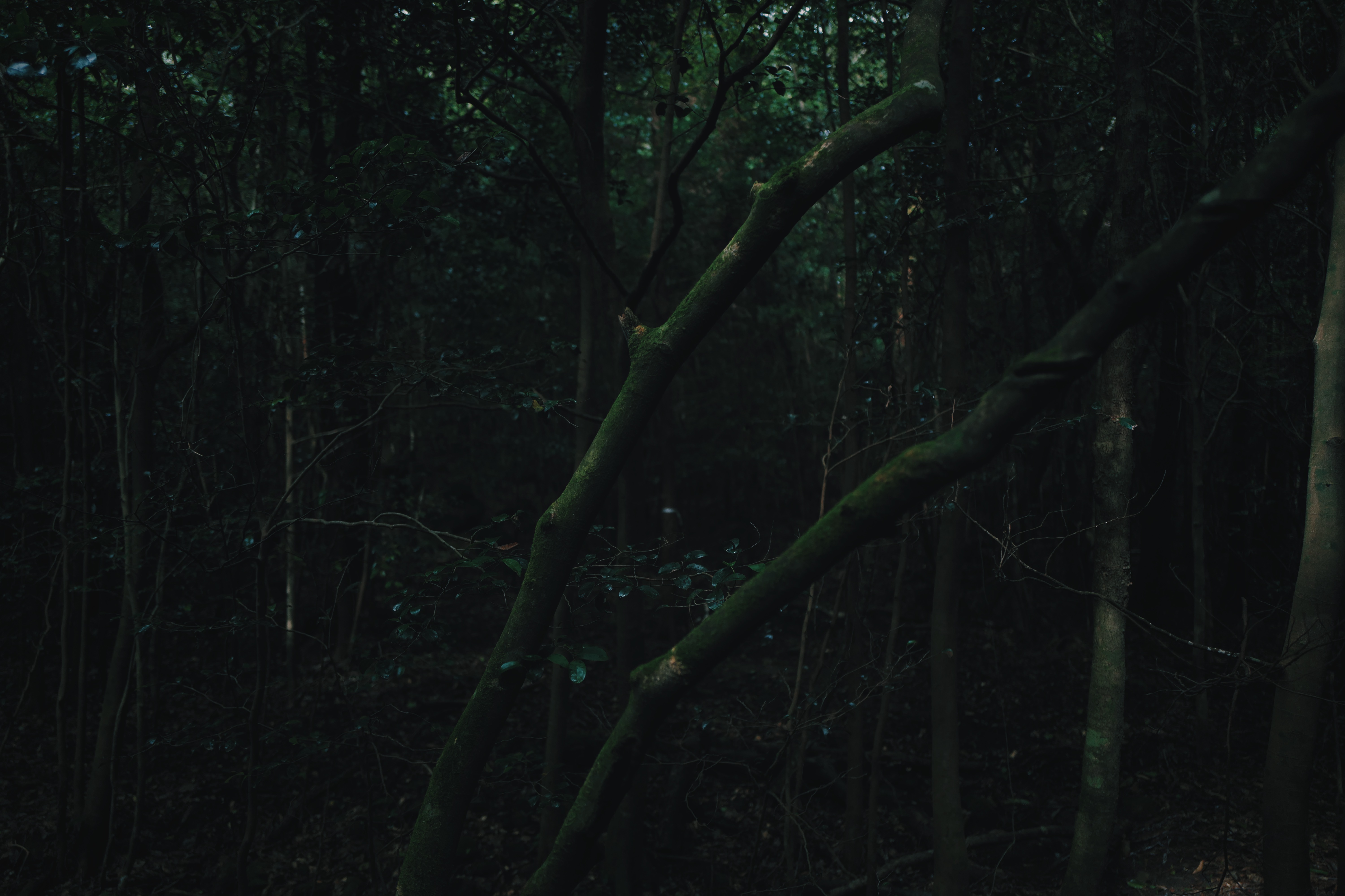 Breathing Dark 008