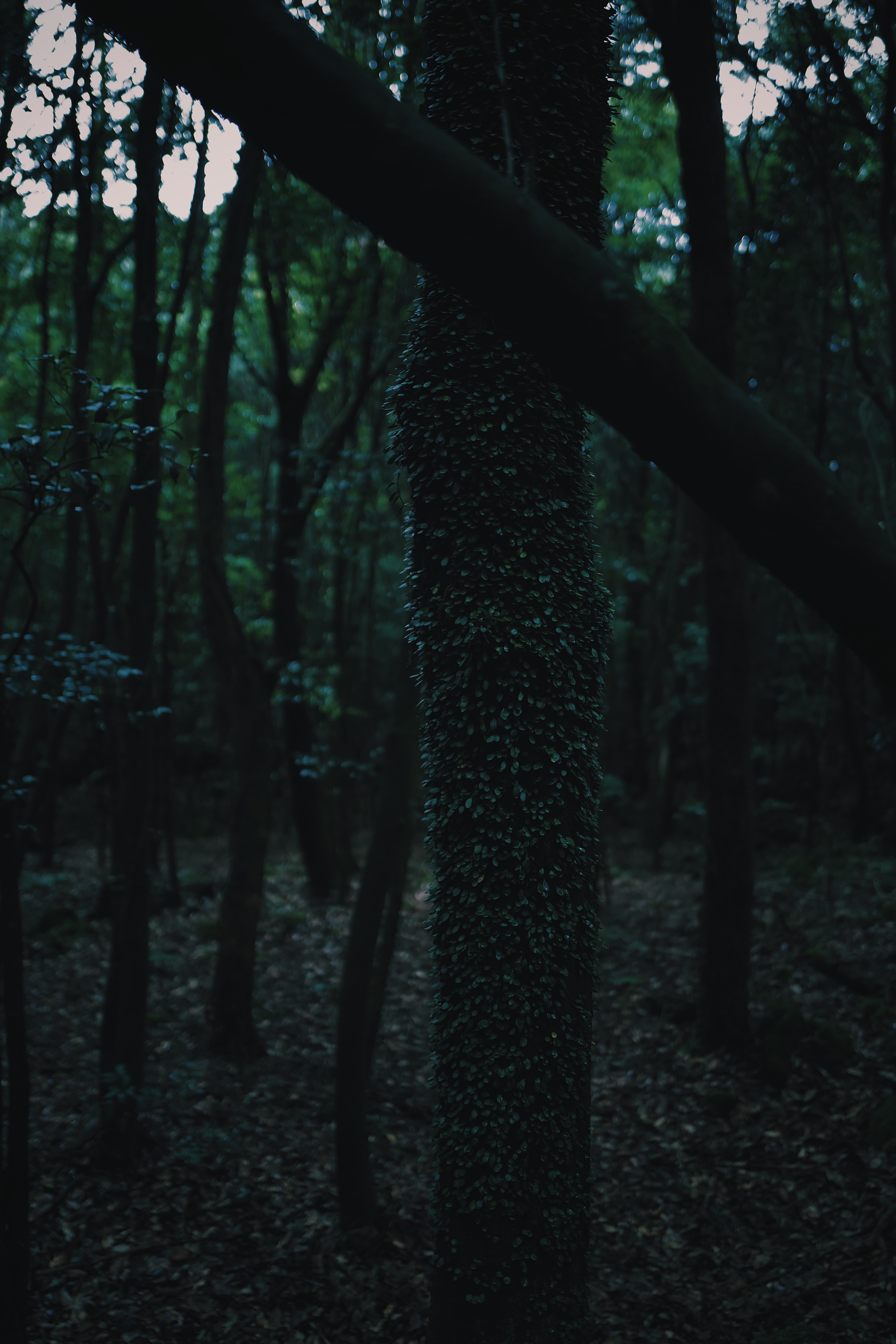 Breathing Dark 012