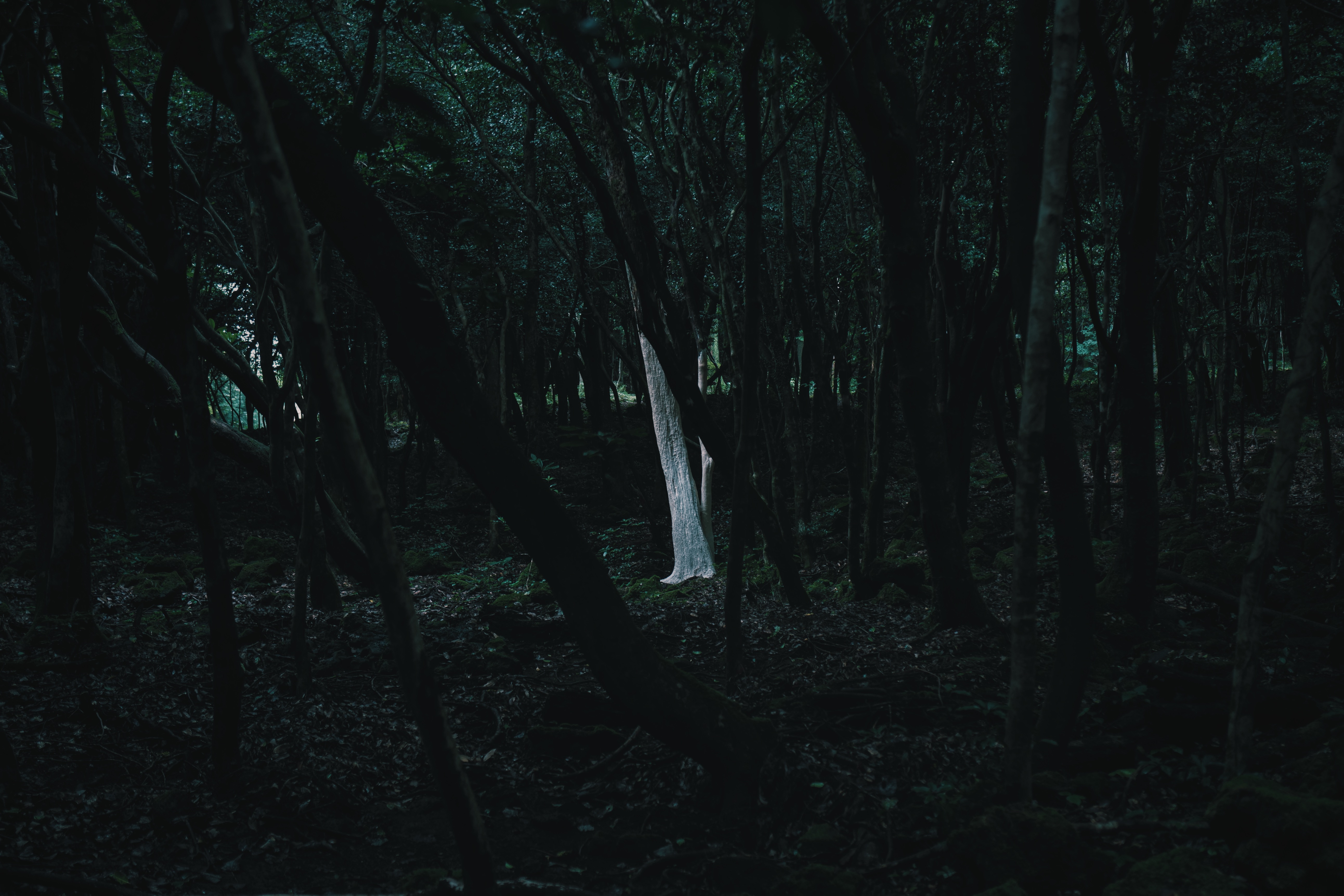 Breathing Dark 013