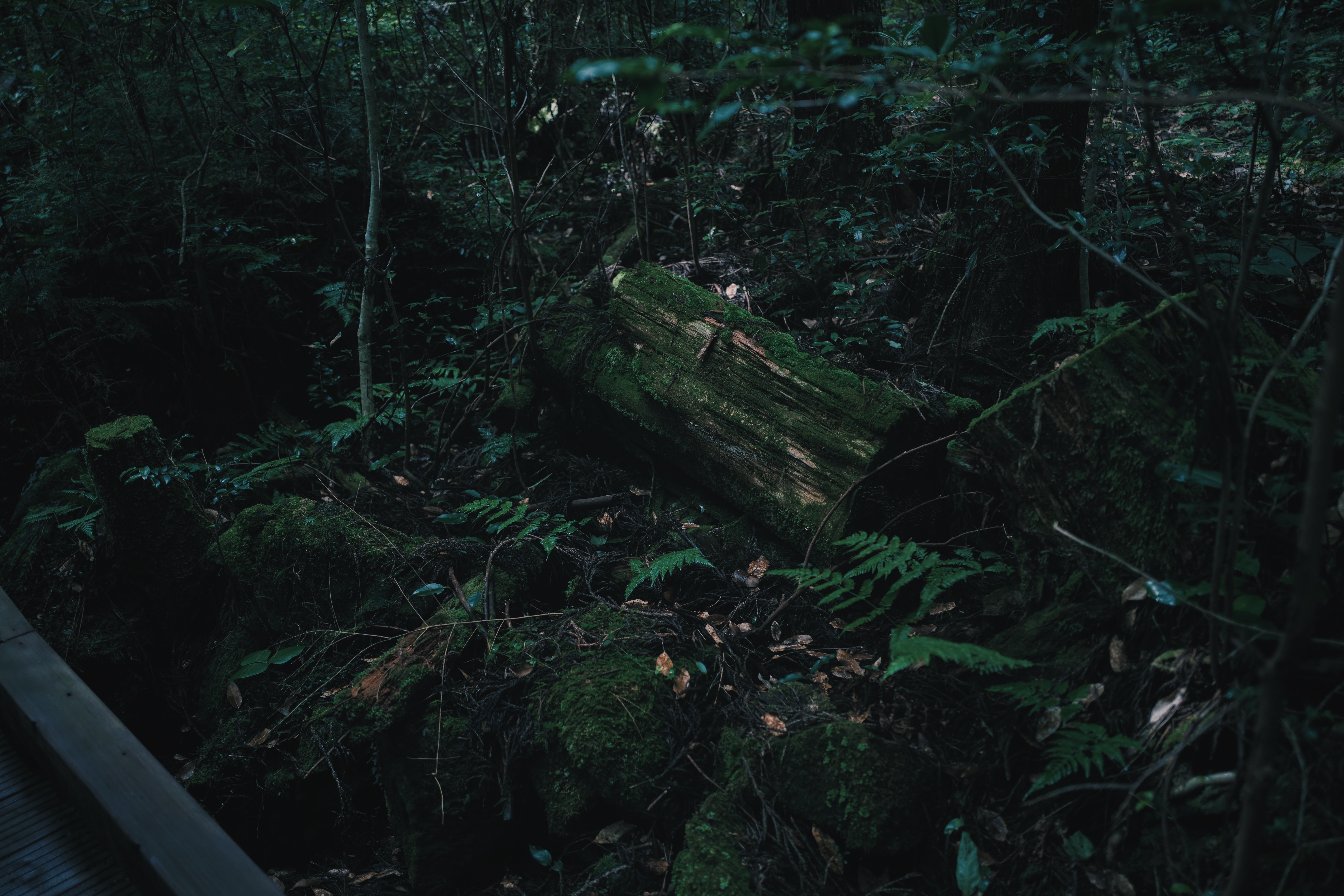 Breathing Dark 014